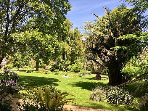 Beds and palms in the Chelsea Physic Garden, with the glasshouses beyond