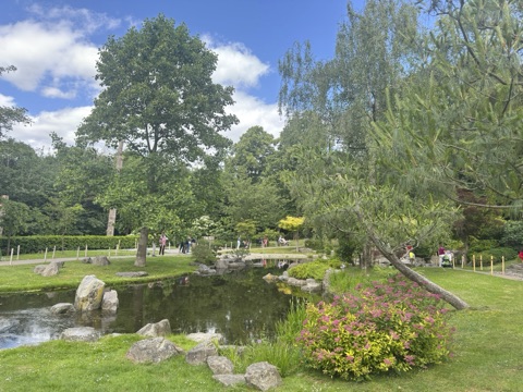 The Kyoto Garden in June: a still pond edged with rocks, a pink-flowering shrub in front, pines leaning over the water and tall trees under a blue sky with white clouds.
