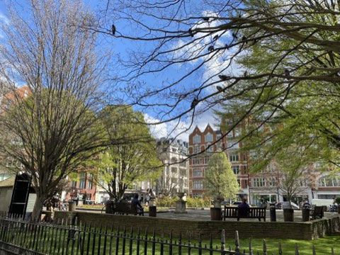 Soho Square in early spring, bare plane trees over the garden and red brick behind