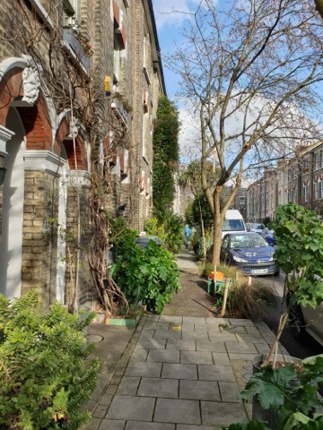 Bonnington Square: a narrow pavement between terraced houses, every front garden and railing thick with palms, ferns and climbing plants