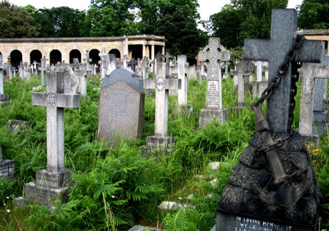 A photograph of Brompton Cemetery.