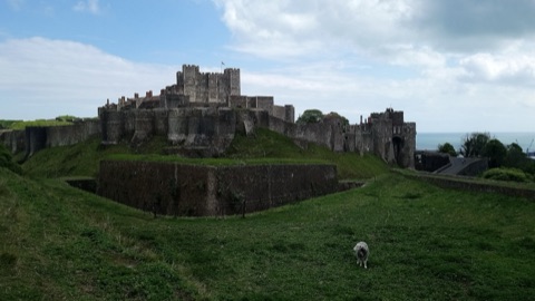 Dover Castle's square keep and curtain walls on a green hill, with grass banks and ditches in front, the sea beyond and a single sheep grazing.