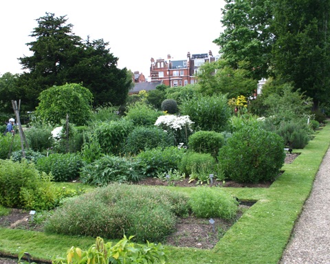 The garden's order beds in summer: low box-edged plots of herbs and flowering plants with white labels, a clipped mound of a shrub in front, trees behind and the red-brick gables of Chelsea houses beyond the wall.