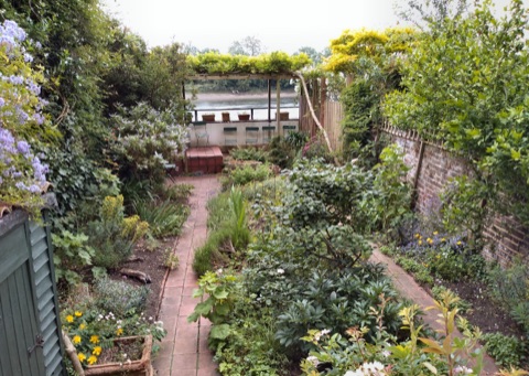 The garden of Emery Walker's House, running down to the river