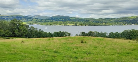 A wide grey lake with a single white sail on it, wooded shores and green hills folding away to distant fells under cloud, seen over a rough meadow.