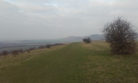 A grassy ridge path running along the top of the downs under a hazy sky, hawthorn bushes on the right, and the humped outline of a chalk beacon in the distance across farmland.