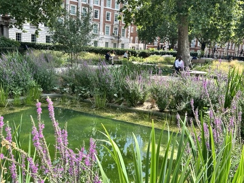 Grosvenor Square Gardens