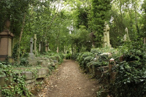 A picture of Highgate Cemetery - East