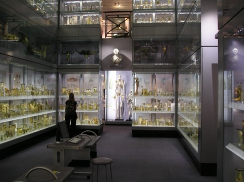 This photo was taken by me, Paul Dean ( StoneColdCrazy ), in September 2007, and shows a part of the Hunterian Collections on display at The Royal College of Surgeons of England