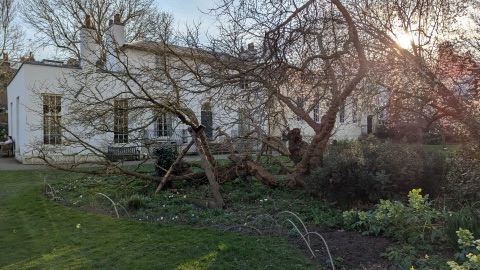Keats House from the garden