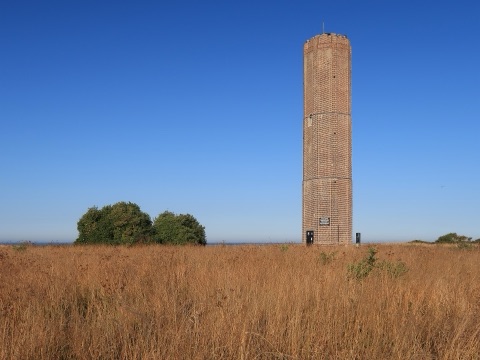A tall octagonal brick tower standing alone above a field of dry summer grass, with a clump of trees beside it and the sea on the horizon.