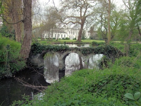 A photograph of Morden Hall Park.