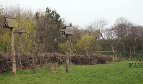 Paddock, Mudchute Farm, Cubitt Town, London, E14