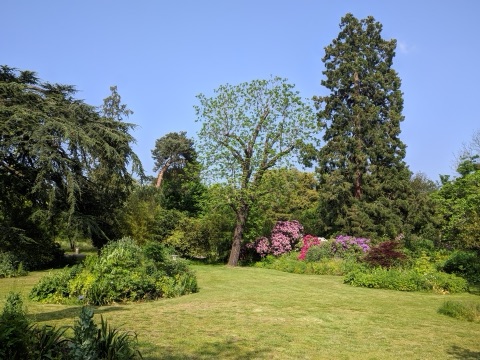 A view of a lawn in Myddelton House Gardens