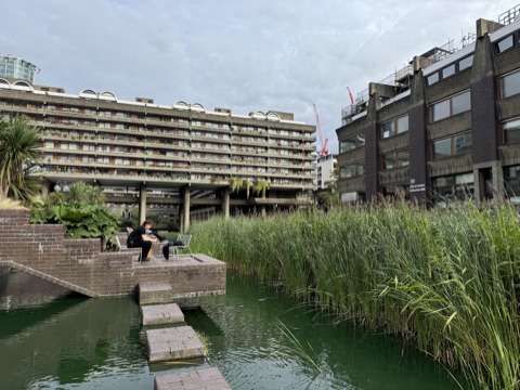 Stepping stones of brick crossing the green lake to a platform where someone sits at a small table, tall reeds along the bank, a long terrace block on stilts with balconies of plants beyond, and the dark brick school building on the right.