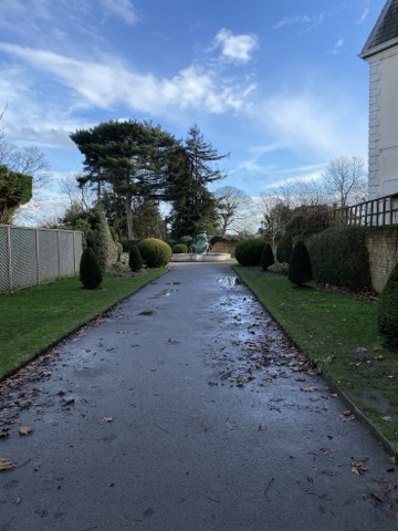 A path between clipped hedges at Cannizaro Park, pines beyond and a statue at the end