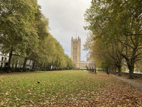 Victoria Tower Gardens under autumn plane trees, the Victoria Tower at the end