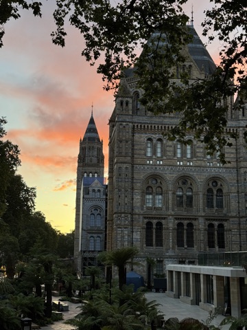 The Natural History Museum's terracotta towers against an orange sunset