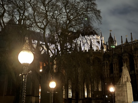 The Abbey's pinnacles at night above lit street lamps and bare trees