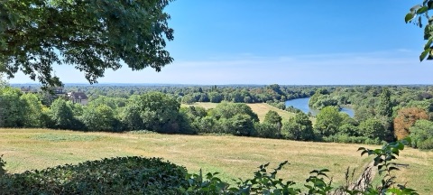 The view from Richmond Hill over the Thames