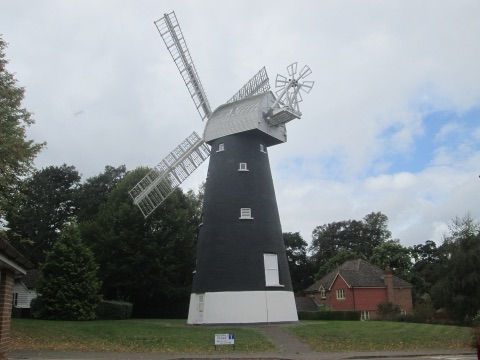 Shirley Windmill's black tower and white sails above the trees