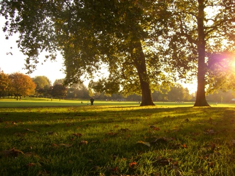 Multi-use green next to running track