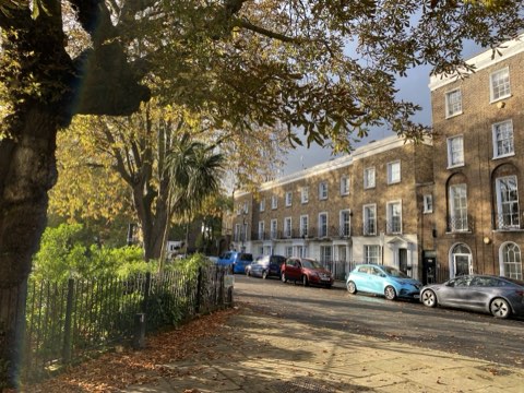 Canonbury Square in autumn, plane trees turning above the garden railings and the brown brick terrace beyond