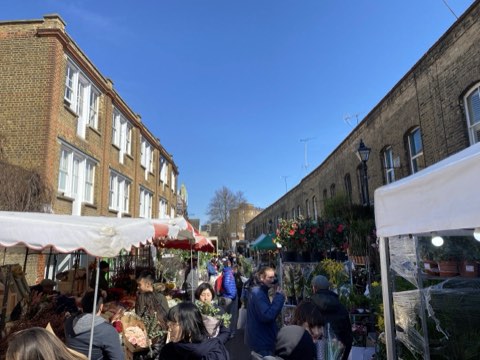 Columbia Road on a Sunday, flower stalls filling the street between Victorian terraces