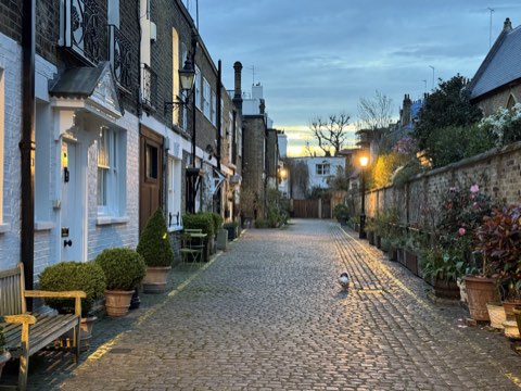Kynance Mews at dusk, cobbles and potted plants under a lit lamppost, a small dog in the road