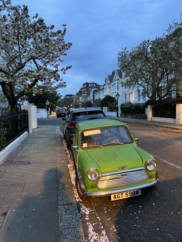 A green classic Mini parked under blossom on Victoria Road, white stucco villas along the street beyond