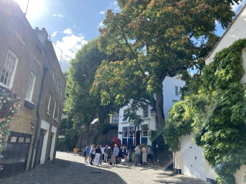 Wilton Row, a cobbled lane under a chestnut tree with the Grenadier pub at the end