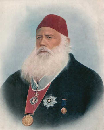 Portrait of Sir Syed Ahmad Khan