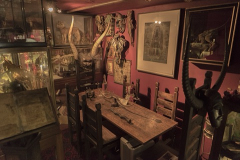 The interior of the Viktor Wynd Museum