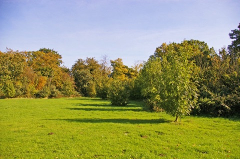 Trent Park, London N14 Looking east in Trent Park from near the entrance opposite Oakwood Station
