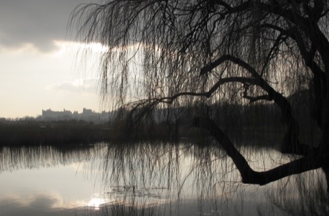 Arundel Castle in silhouette on its hill across flat water meadows, seen under the bare hanging branches of a willow at the edge of a still lake.