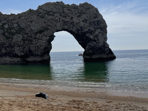 The natural limestone arch of Durdle Door standing in a calm green sea, a small boat passing through the arch and a shingle beach in front.