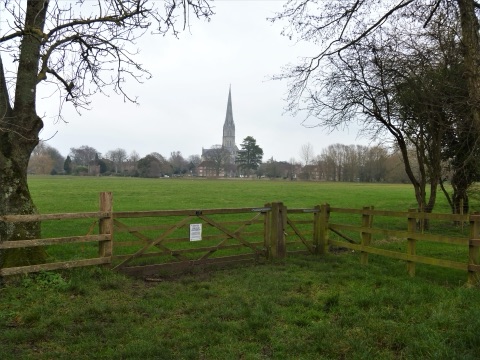 Salisbury Cathedral's spire beyond a flat green meadow, seen over a wooden five-bar gate in a field fence, with bare trees framing the view.