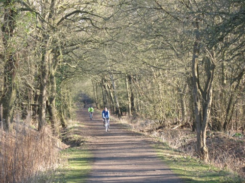 Horse Ride, Wimbledon Common Cyclists enjoying the descent on this track down the western slopes of the Common