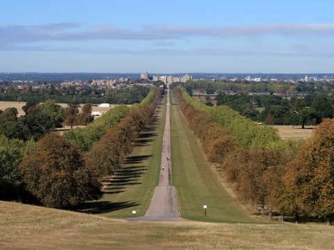 A straight tree-lined avenue running for miles across parkland to the castle on the horizon, seen from the top of a hill on a clear day.