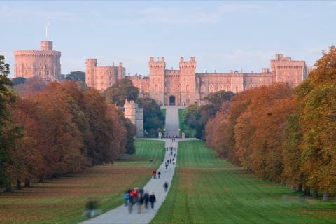 The castle's towers and battlements glowing pink in low sun at the end of a straight avenue lined with autumn trees, with people walking towards it.